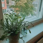 Kaski, Three-room In A Prime Location, Free Parking Tampere