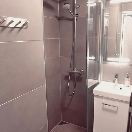 Apartment Kaski, Three-room In A Prime Location, Free Parking *