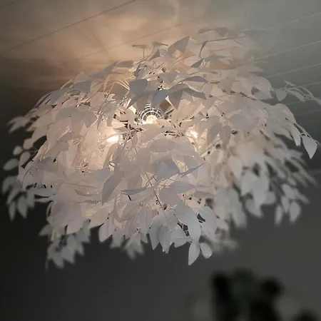 アパート Kaski, Three-room In A Prime Location, Free Parking