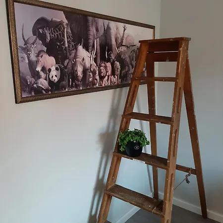 Apartment Kaski, Three-room In A Prime Location, Free Parking